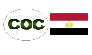 이집트 COC 통관 증명서